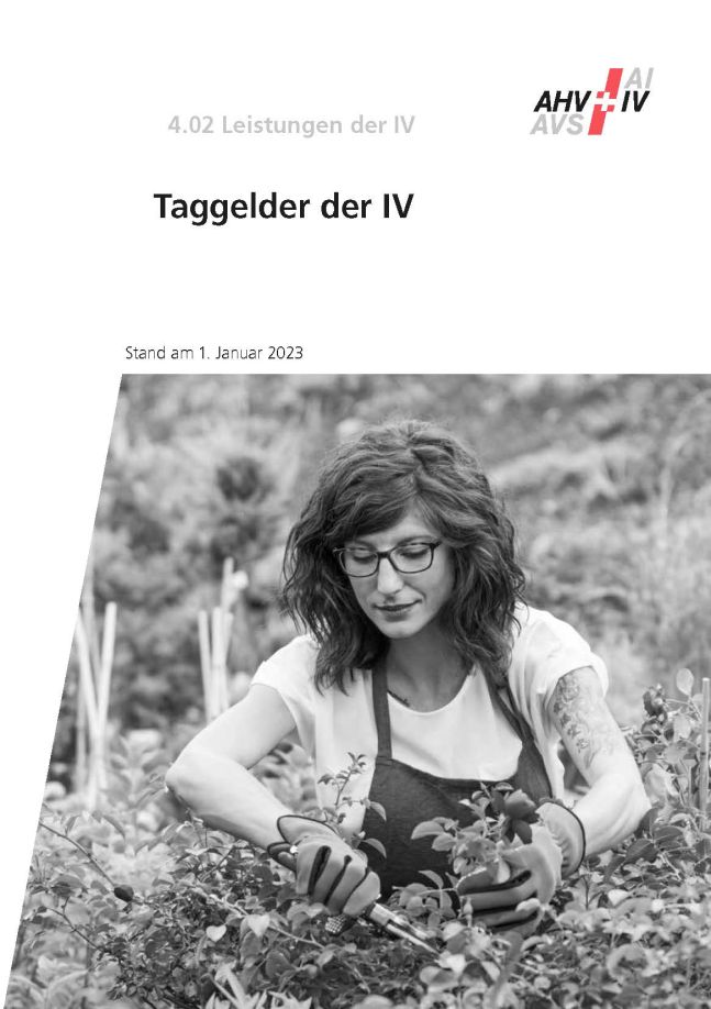 Merkblatt 4.02 – Taggelder der IV